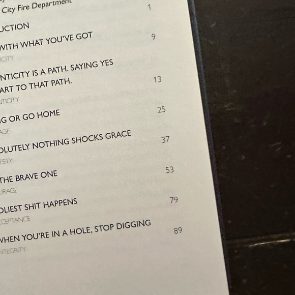 “ Be The Brave One” Spiritual And Other Life Lessons Book Brand New - Picture 2 of 6